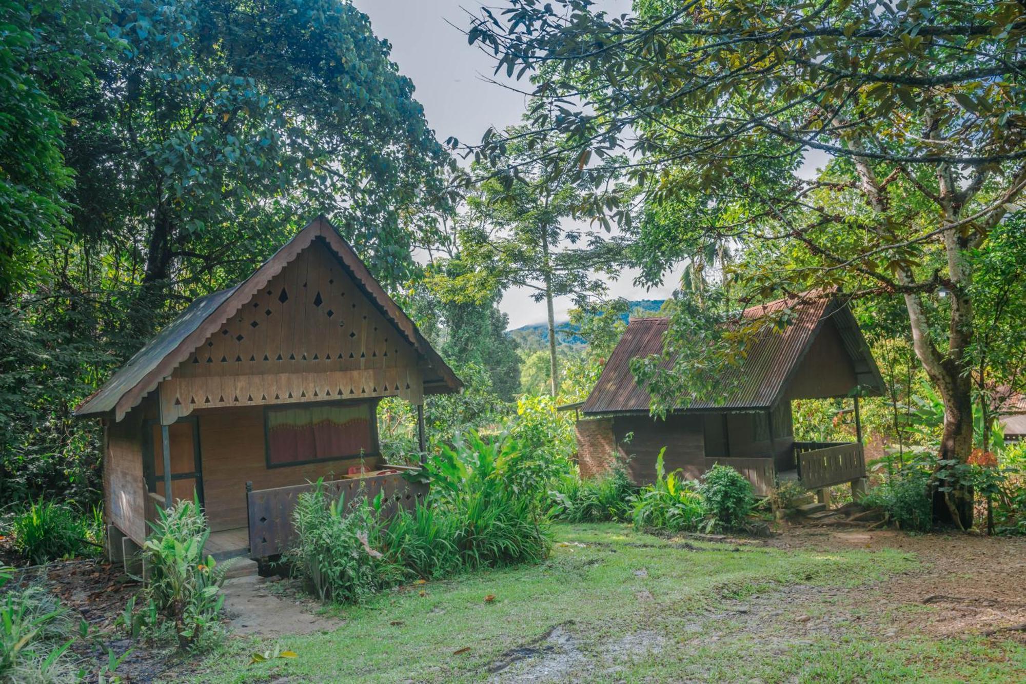 Pak Mus Guest House Ketambe - 0813-7072-1793 Kutacane Exterior foto