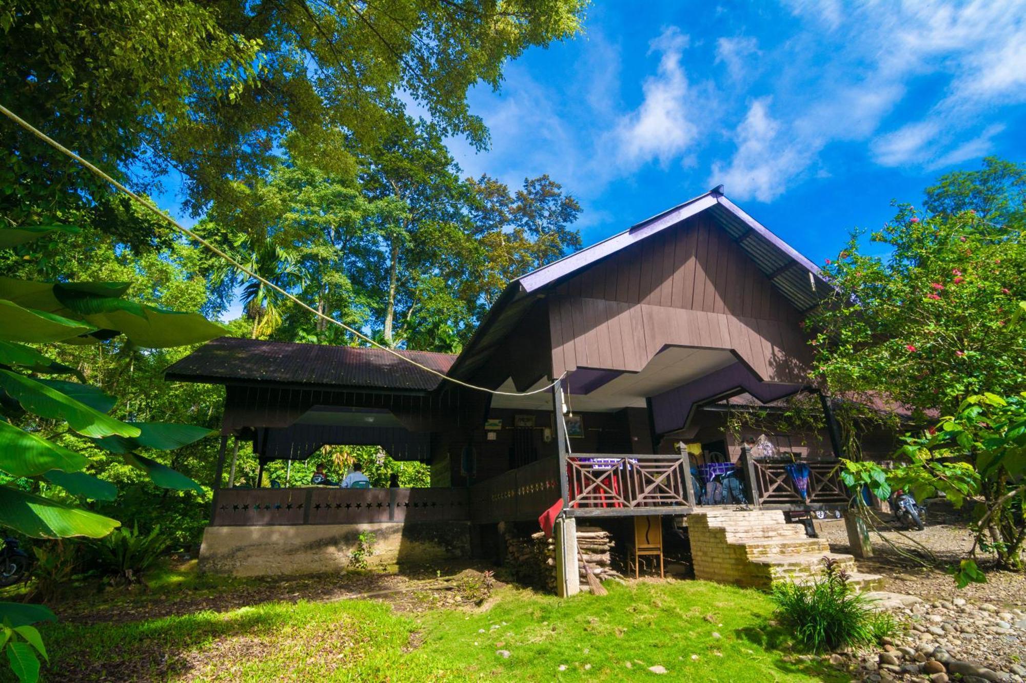 Pak Mus Guest House Ketambe - 0813-7072-1793 Kutacane Exterior foto