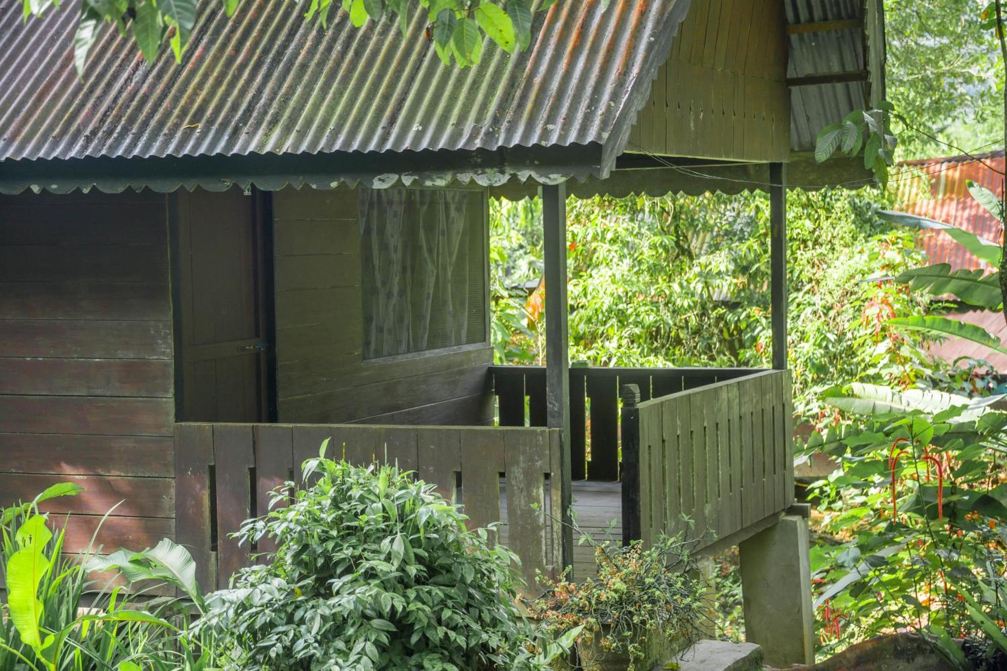 Pak Mus Guest House Ketambe - 0813-7072-1793 Kutacane Exterior foto