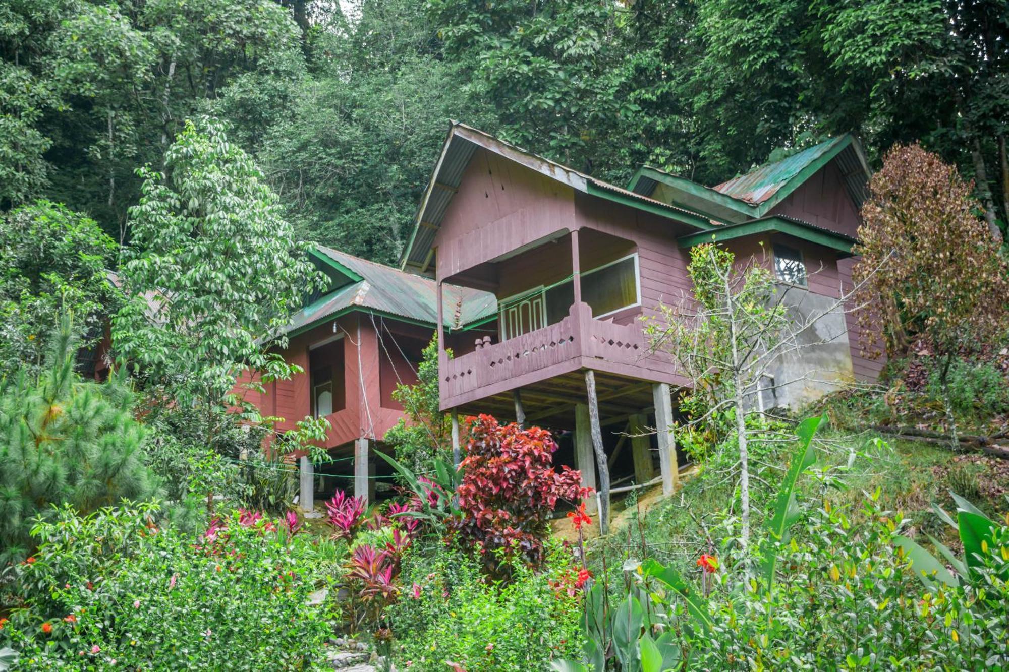 Pak Mus Guest House Ketambe - 0813-7072-1793 Kutacane Exterior foto