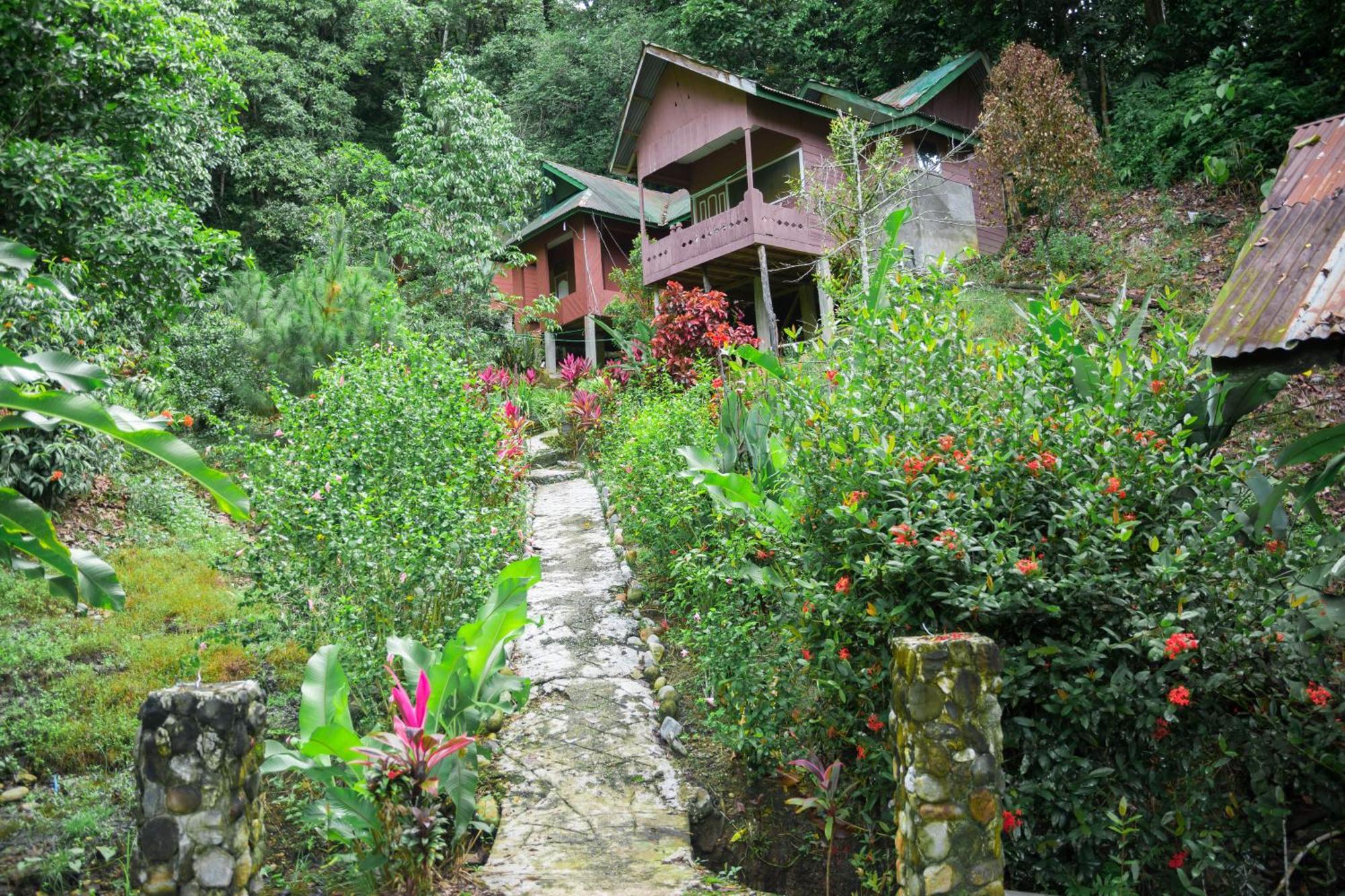 Pak Mus Guest House Ketambe - 0813-7072-1793 Kutacane Exterior foto