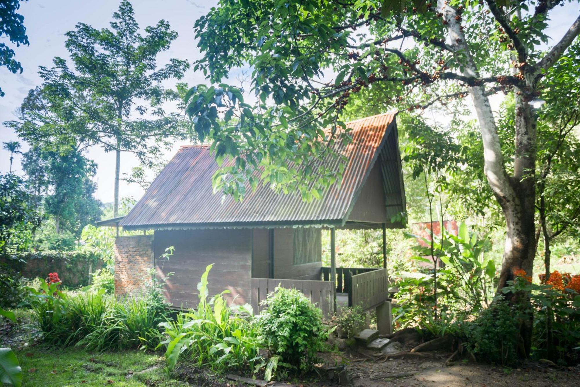 Pak Mus Guest House Ketambe - 0813-7072-1793 Kutacane Exterior foto